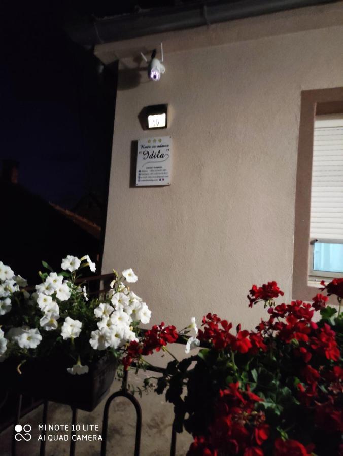 Kuca Vila Idila Vrsac Exteriér fotografie